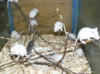 /album/fotogaleria/p1050822-640x360-jpg/